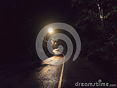 Night asphalt curve road in the light of the lanterns Stock Photo