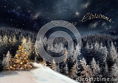 Night christmas forest Stock Photo