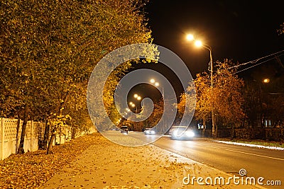 Night city traffic blurred lights headlight road trees autumn lights fanlights lighting cars foliage bush glare background Stock Photo