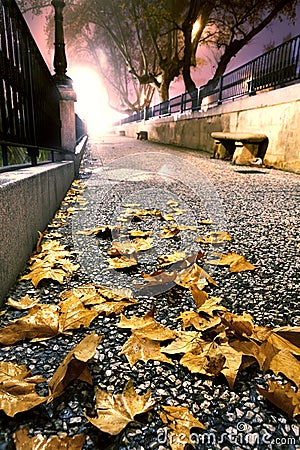 Night cityscape in autumn Stock Photo