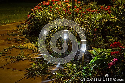 Night garden lights Stock Photo