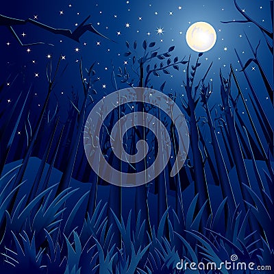 Night Jungle Vector Illustration