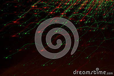 Night light colorful abstract background Stock Photo