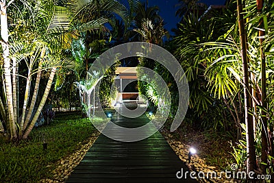 Night lighting in tropical garden. Stock Photo