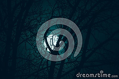 Night mysterious landscape in cold tones - silhouettes of the bare tree branches against the full moon and dramatic cloudy night s Stock Photo