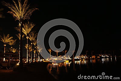 Night panorama with view of illuminated palm trees on seacoast of Hurghada. Tropical resort Stock Photo