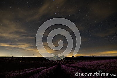 Night picture of lavender field in france, provence valensole - beautiful view of violet flowers and stars in the sky - perfume Stock Photo