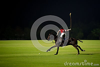 Night Polo Stock Photo