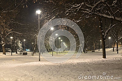 Night Scene of a Park Stock Photo