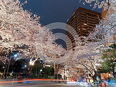 Night scenery of Roppongi Ark Hills in Tokyo downtown during Sakura Matsuri Festival Stock Photo