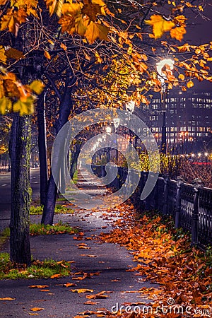 Night shot cityscape in the autumn with artificial lights with l Stock Photo