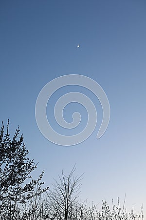 Night sky landscape. Crescent Moon on dark blue night sky background. Stock Photo