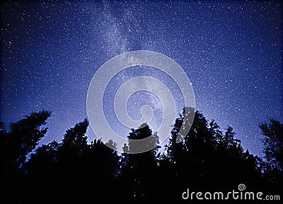 Night sky with the Milky Way over the forest and trees. The last light of the setting Sun on the bottom of the image Stock Photo