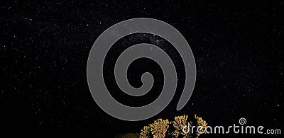 Night sky with Milkyway galaxy over small tree shrubs as seen from Anakao, Madagascar, Southern cross or crux Stock Photo