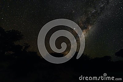 Night sky with Milkyway galaxy over trees silhouettes as seen from Anakao, Madagascar, bright Jupiter visible near Ophiuchus Stock Photo