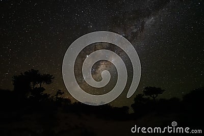 Night sky with Milkyway galaxy over trees silhouettes as seen from Anakao, Madagascar, bright Jupiter visible near Ophiuchus Stock Photo