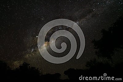 Night sky with Milkyway galaxy over trees silhouettes as seen from Anakao, Madagascar, bright Jupiter visible near Ophiuchus Stock Photo