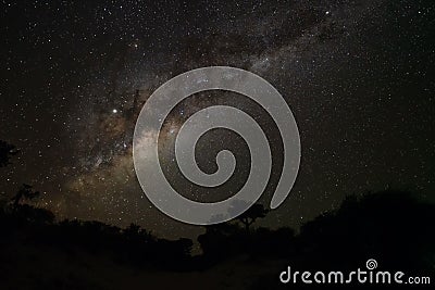 Night sky with Milkyway galaxy over trees silhouettes as seen from Anakao, Madagascar, bright Jupiter visible near Ophiuchus Stock Photo