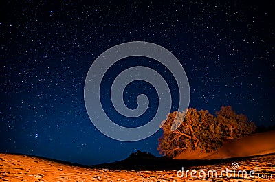 Night sky in moroccan desert Erg Chegaga Stock Photo