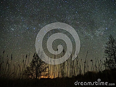 Night sky and milky way stars, Perseus, Cassiopeia over field Stock Photo