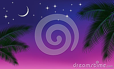 Night sky and a palm branch. Vector Illustration