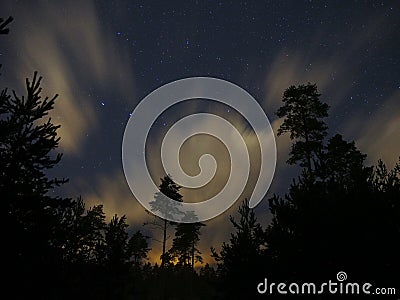 Night sky stars forest clouds big dipper constellation Stock Photo