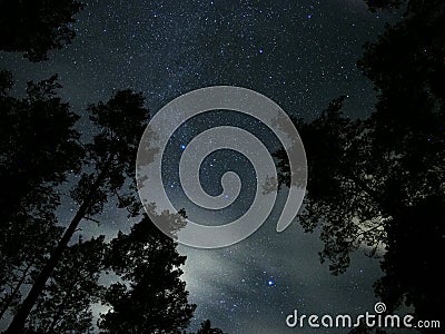 Night sky stars and clouds over forest Cygnus Lyra constellation Stock Photo