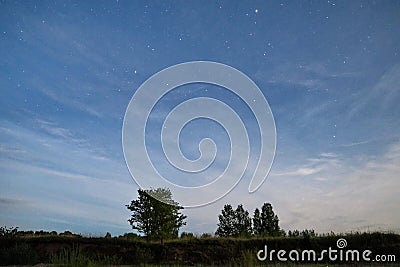 Night sky stars lights over green field Stock Photo