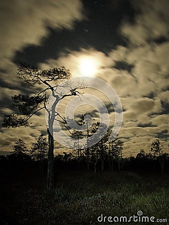 Night sky stars Moon set pleiades observing Stock Photo