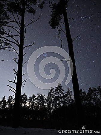 Night sky stars Taurus constellation pleiades open star cluster Stock Photo