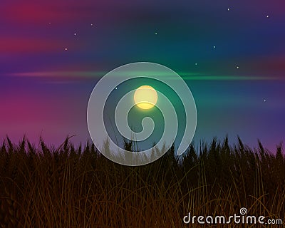 Night sky and wheat field and stars / Full Moon realistic painting Hoiday Magic Night illustration Stock Photo