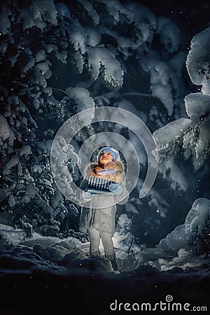 Night in the snowy forest Stock Photo