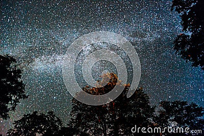 Night starry sky Stock Photo