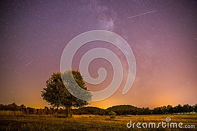 Night and stars Landscape: Clear Milky way at night, lonely field and tree Stock Photo