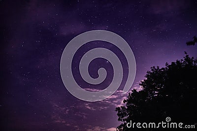 Night tree silhouette and dreamlike starry purple sky with clouds Stock Photo