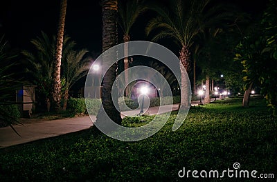 Night view walkway with tropical palm trees in the light of the lantern. Night tropical park with palms and lanterns Stock Photo