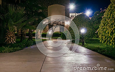 Night view walkway with tropical palm trees in the light of the lantern. Night tropical park with palms and lanterns Stock Photo