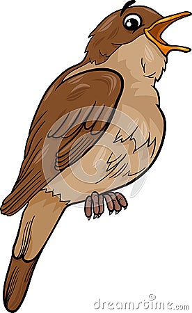 Nightingale bird cartoon illustration Stock Photo