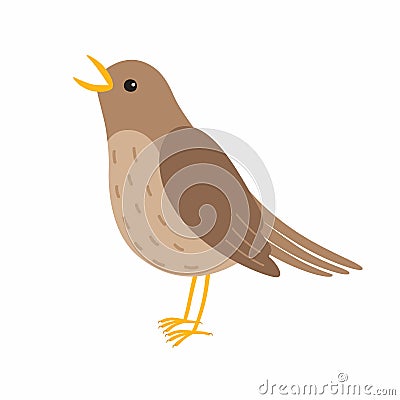 Nightingale bird. Vector illustration Isolated on white background. Vector Illustration