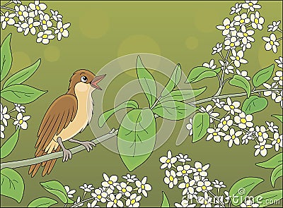 Nightingale singing on a branch with flowers Vector Illustration