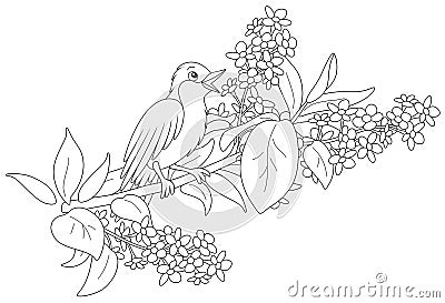 Nightingale singing on a branch with flowers Vector Illustration