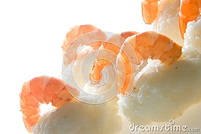 Nigiri sushi Stock Photo