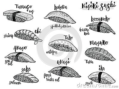 Nigiri sushi species. Isolated line sushi illustrations on white background. Japanese food. Vector Illustration