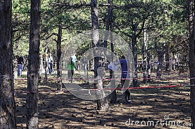 Nikolaev, Ukraine - October 14, 2020: sports orienteering competition among schoolchildren in pine forest Editorial Stock Photo