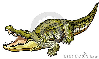 Nile crocodile Vector Illustration