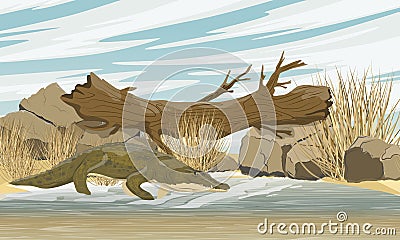 Nile crocodile Crocodylus niloticus stands near the river. A fallen tree lying on two stones above a lake with sandy and clayey sh Vector Illustration