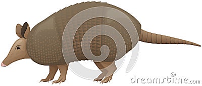 Nine-Banded Armadillo Side View Vector Illustration