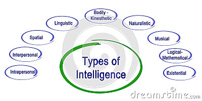 Types of Intelligence Stock Photo