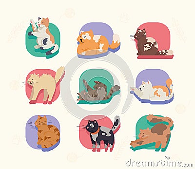 nine cats mascots Vector Illustration