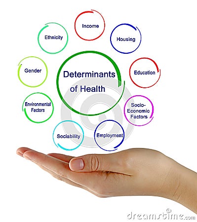 Nine Determinants of Health Stock Photo